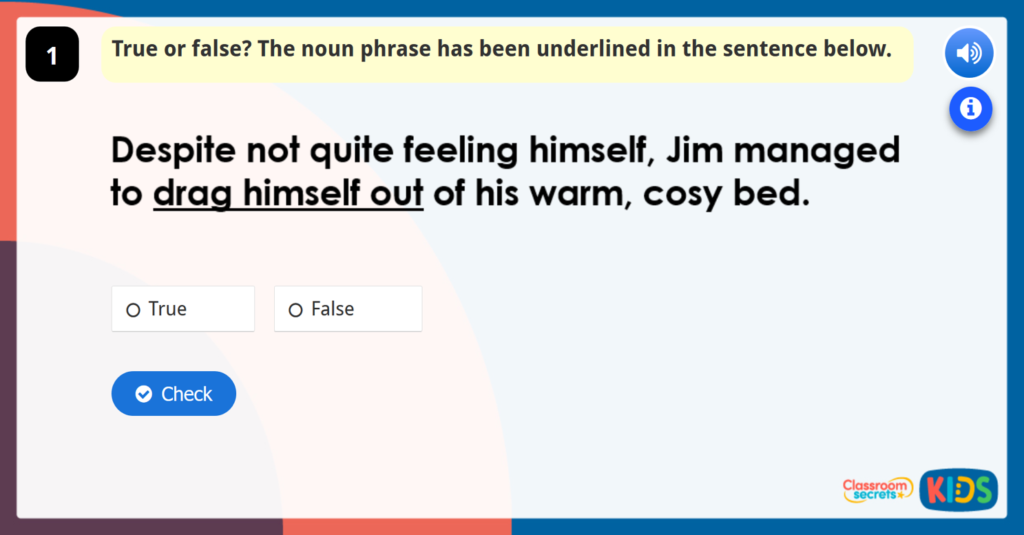 Year 5 Using Noun Phrases