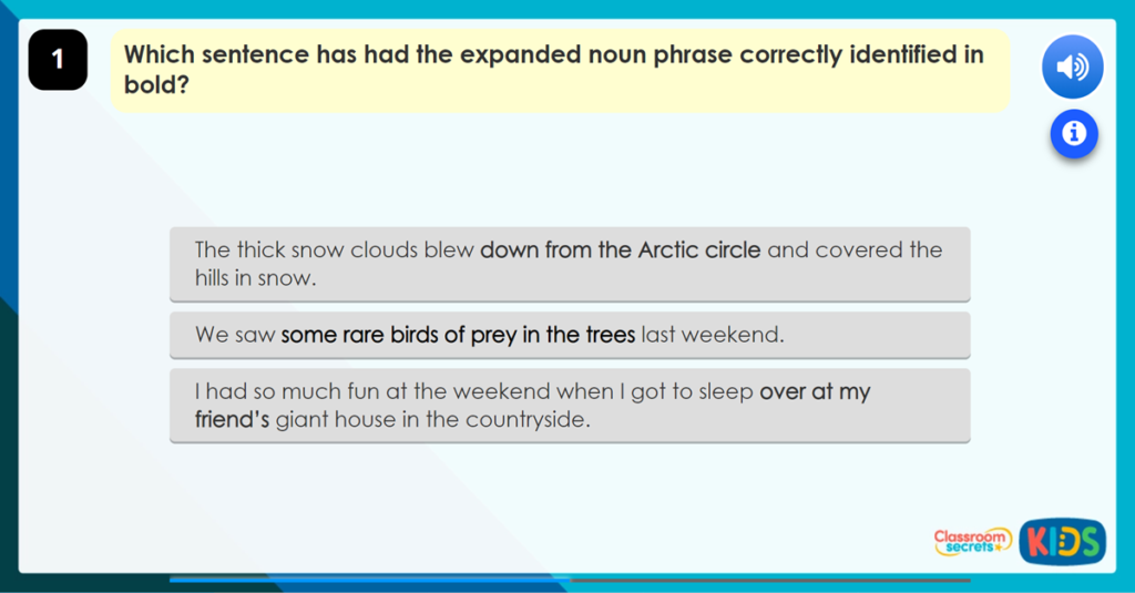 Year 4 Using Expanded Noun Phrases Game