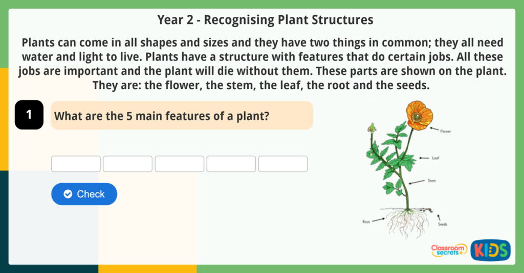Year 2 Science Reading Comprehension Recognising Plant Structures