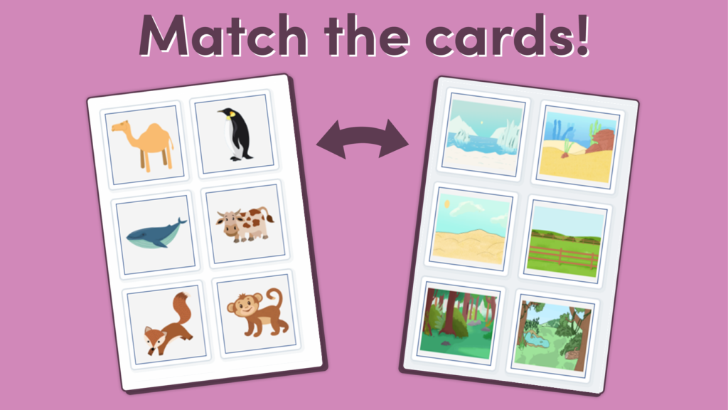 Reception Animal Environments