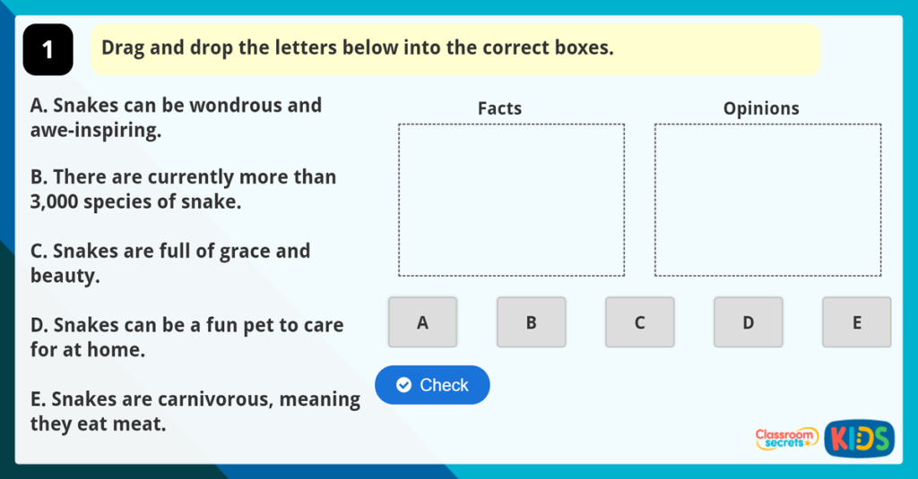 Year 4 Facts and Opinions Activity