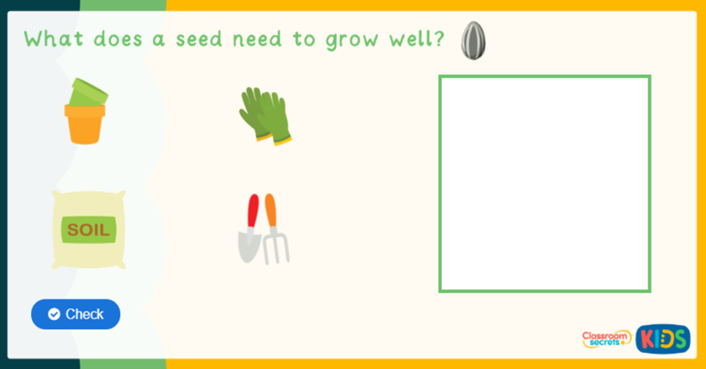 Reception Growing plants