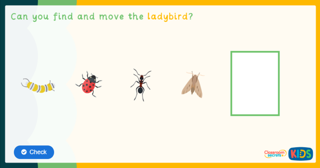 Reception Minibeasts