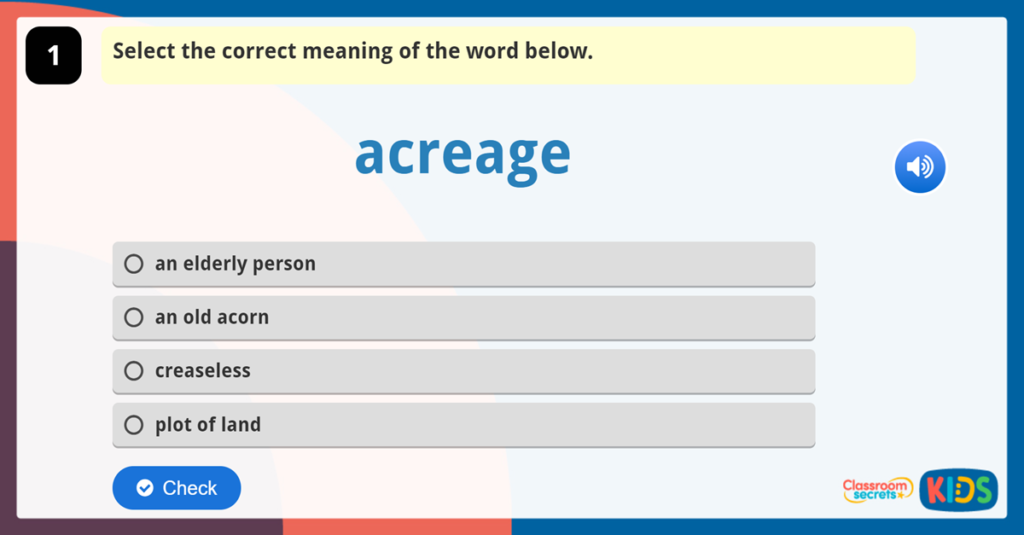 Year 6 Vocabulary Challenge 5