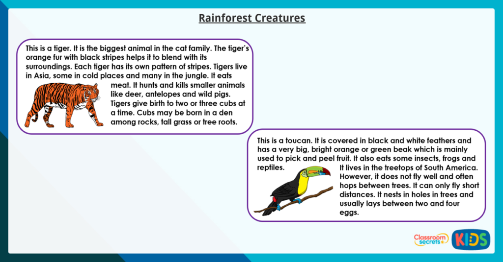 Year 3 Fact Files Reading Comprehension 2
