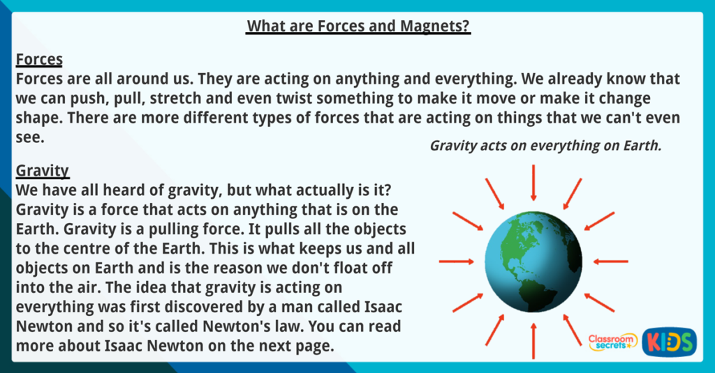 Year Information Text Reading Comprehension 1