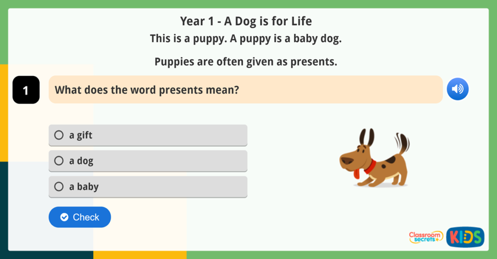 Year 1 Reading Comprehension Vocabulary Meanings