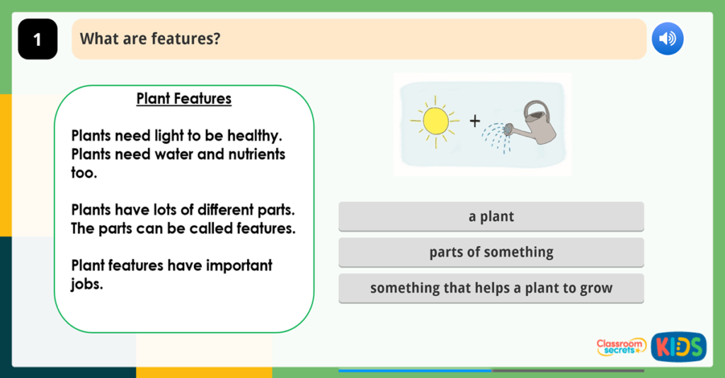 Year 1 Understanding Vocabulary Activities