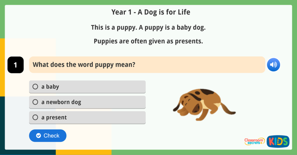 Year 1 Vocabulary Meanings Reading Comprehension