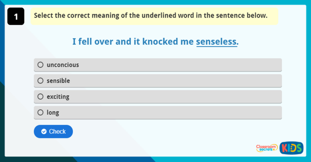 Year 3 Vocabulary Challenge 8