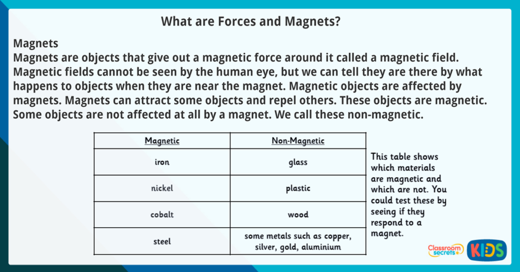 Year 4 Information Text Reading Comprehension