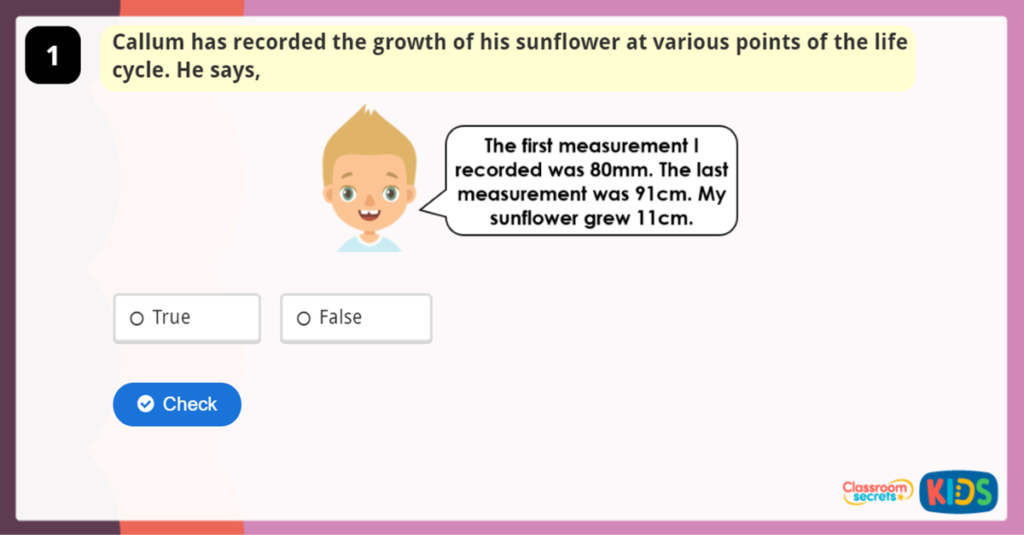 Year 3 Add and Subtract Lengths Activity
