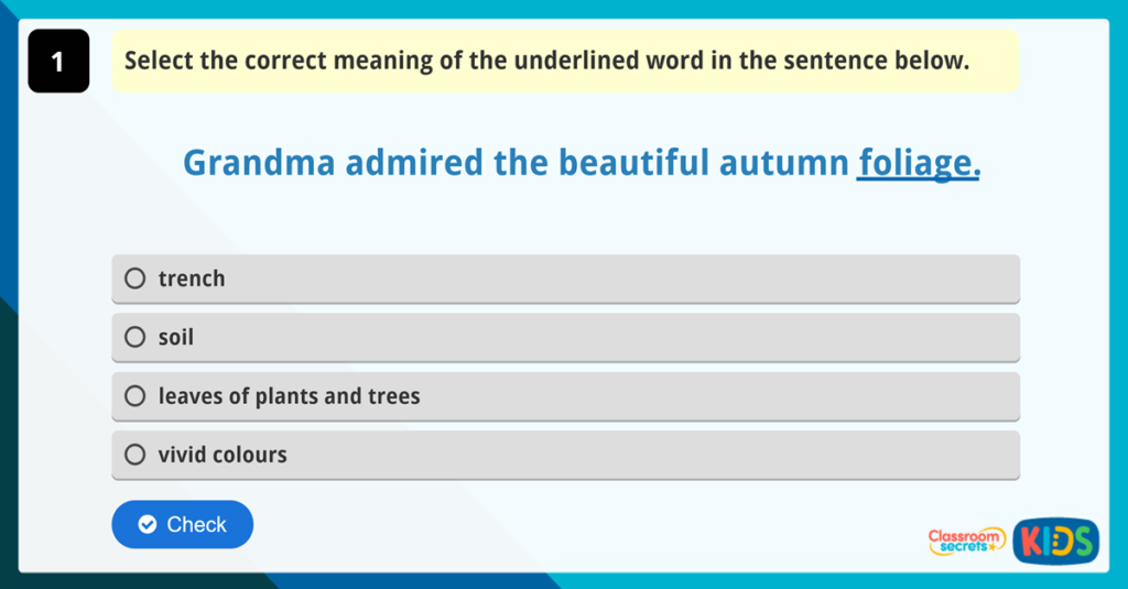 Year 4 Vocabulary Challenge 9