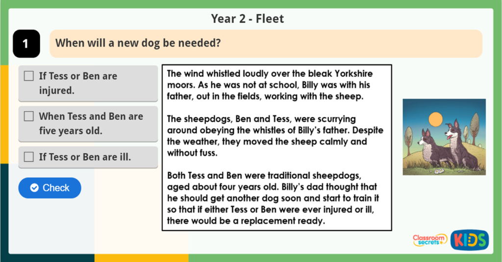 Year 2 Sequence the Events Reading Challenge