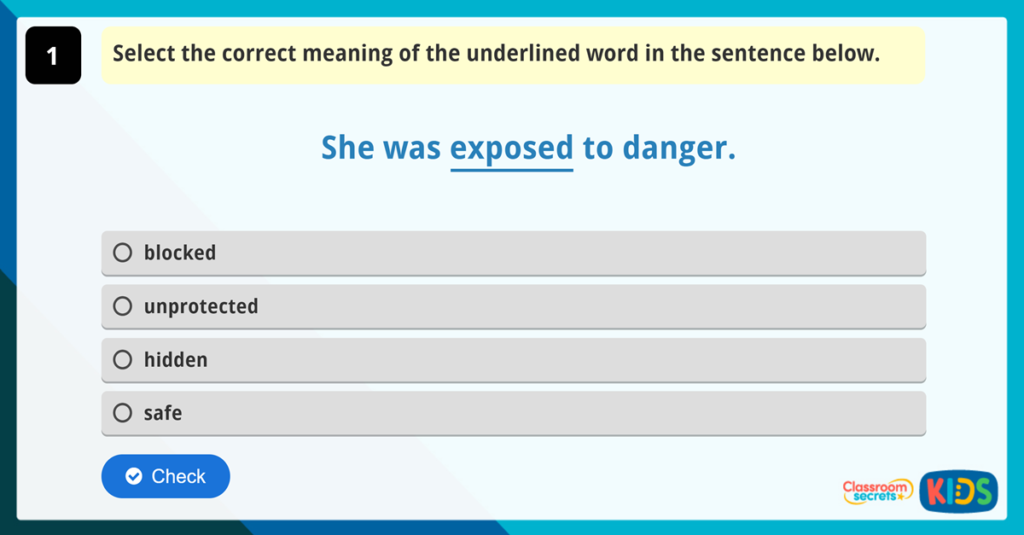 Year 4 Vocabulary Challenge 10