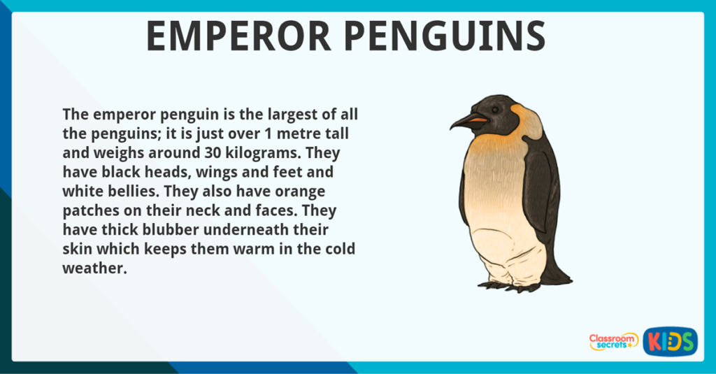 Year 3 Inference Activity