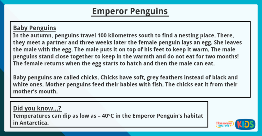 Year 3 Inference Activity