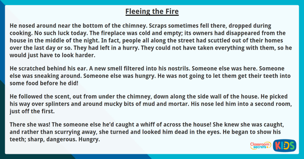 Year 4 Explaining Meaning Reading Comprehension