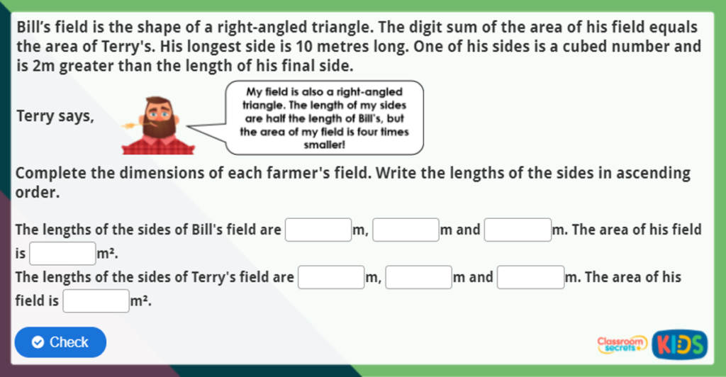 Year 6 Area of Triangles Maths Activity