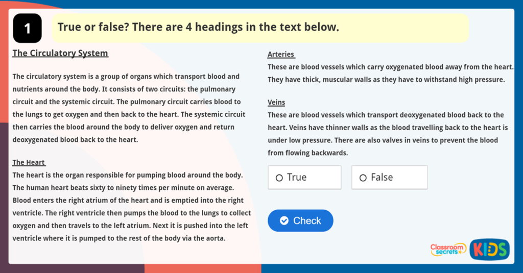 Year 6 Layout Devices Game