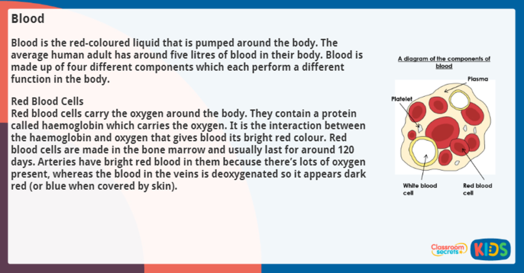 Year 6 Word Meanings Reading Activity