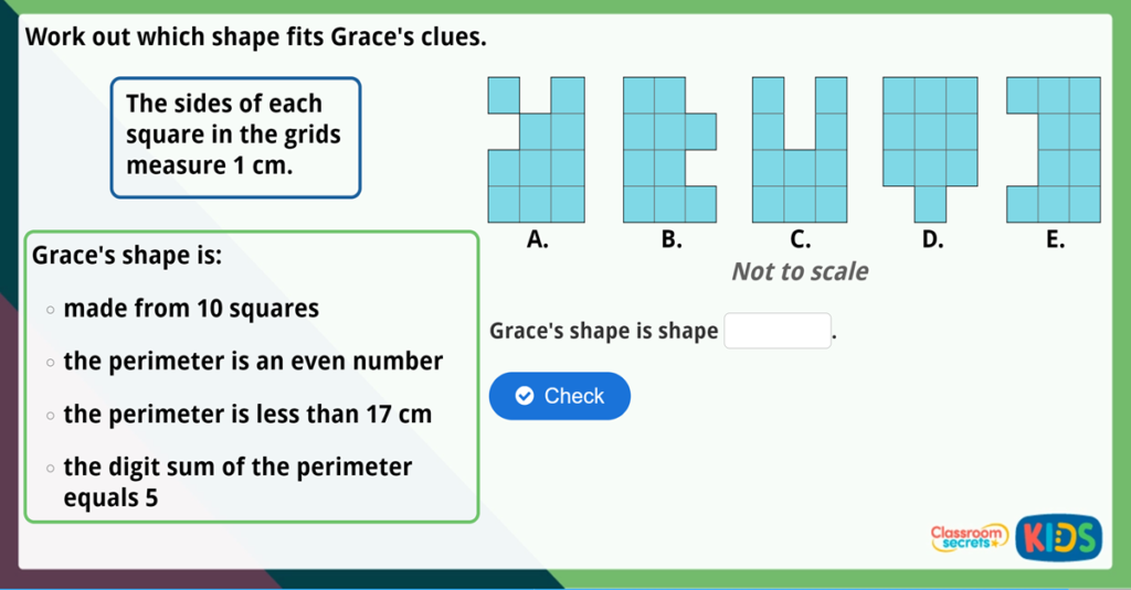 Year 3 Measure Perimeter Maths Challenge