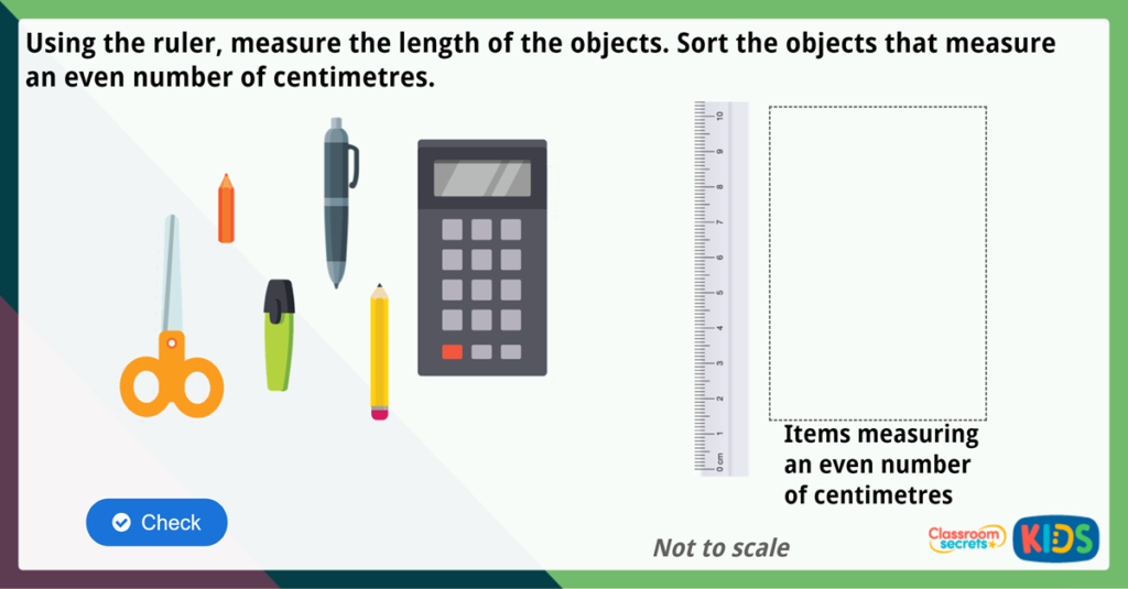 Year 2 Measure Length cm