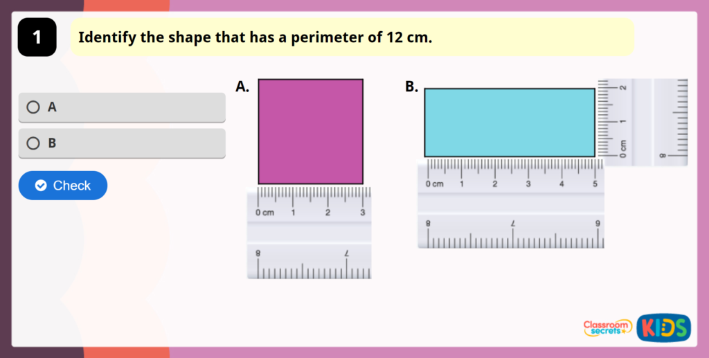 Year 3 Measure Perimeter Game