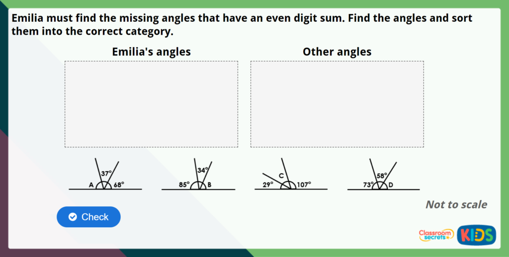 Year 5 Angles on a Straight Line Maths Challenge