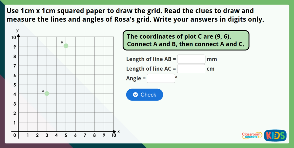 Year 5 Drawing Lines and Angles Accurately Maths Challenge