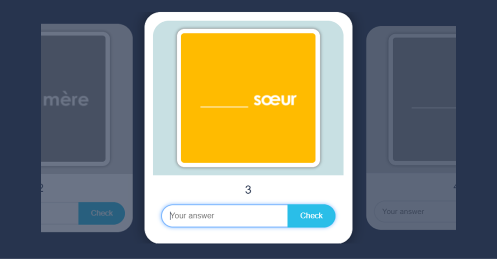 French Ma, Mes or Mon Flash Cards