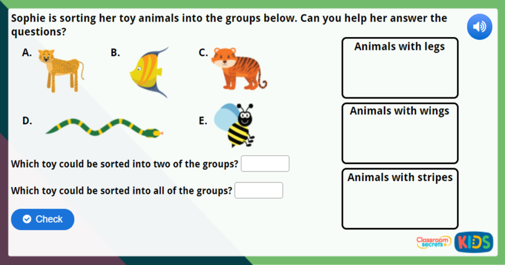 Year 1 Sorting Objects Maths Challenge