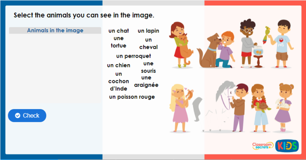 Year 5 French At the Pet Shop