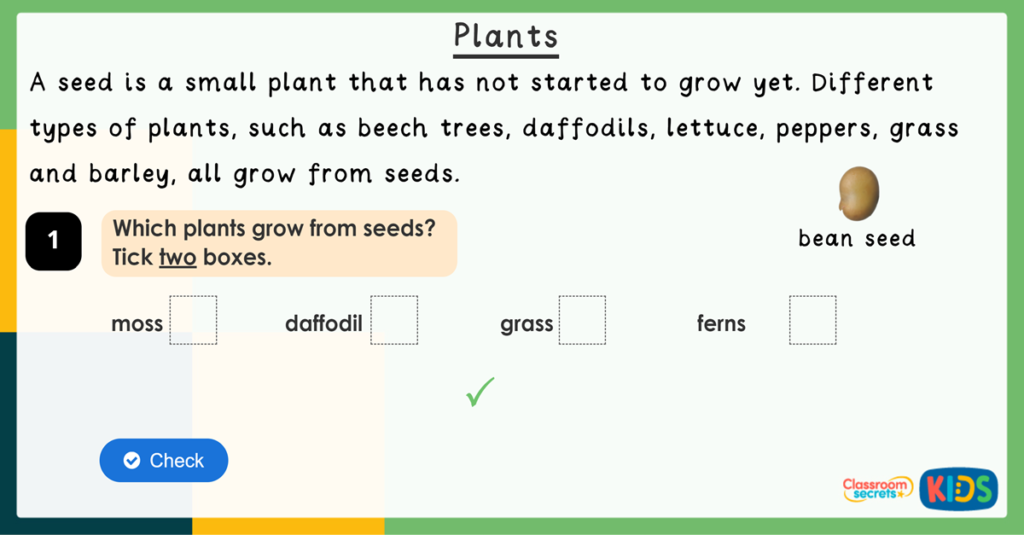 Year 2 Quick Comprehension SATs Questions