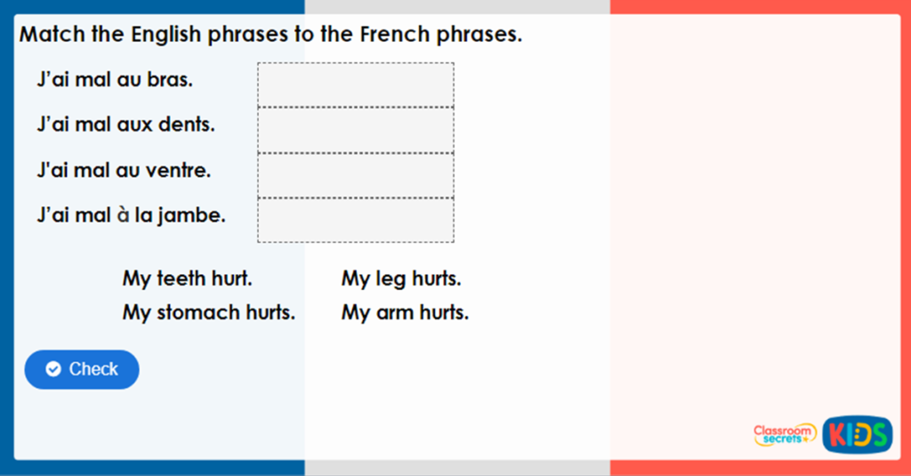 Year 4 Je Suis Malade Game